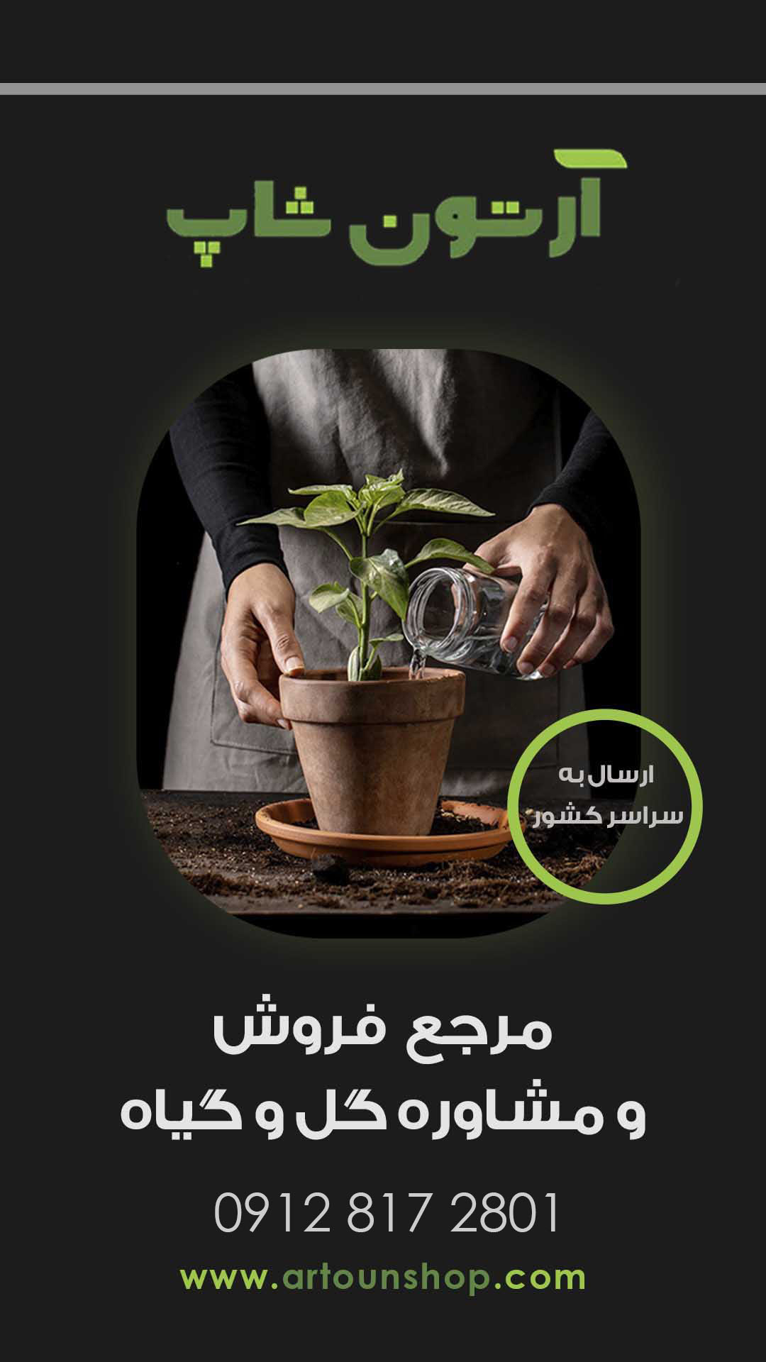 آرتون شاپ